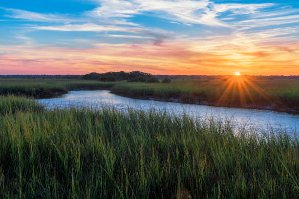 Private Guided Tour: St. Augustine Tour