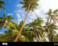 Private Guided Tour: Palm Valley Tour
