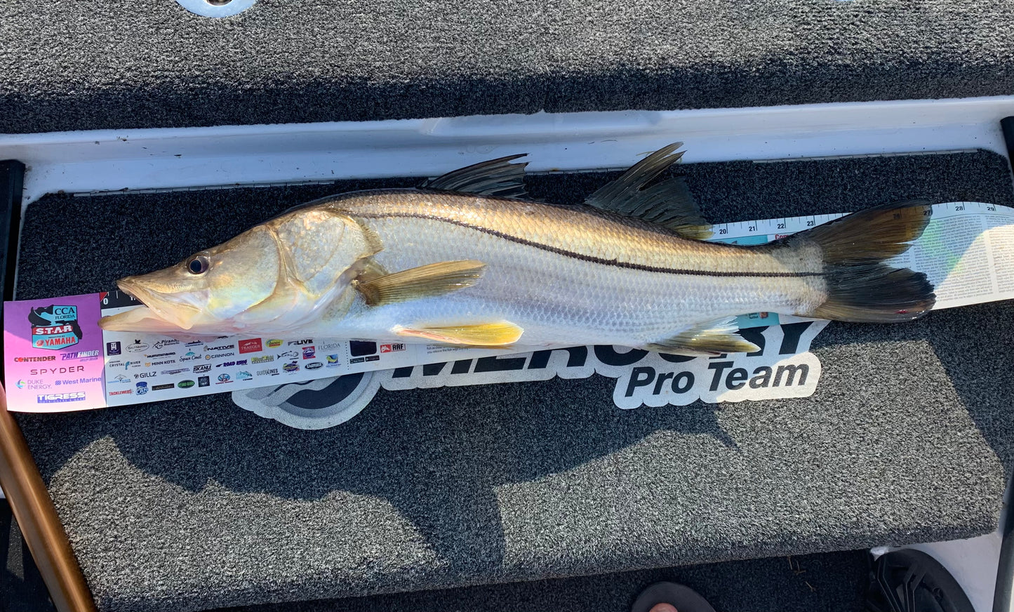 Guided Fishing Trip: Jacksonville Beach