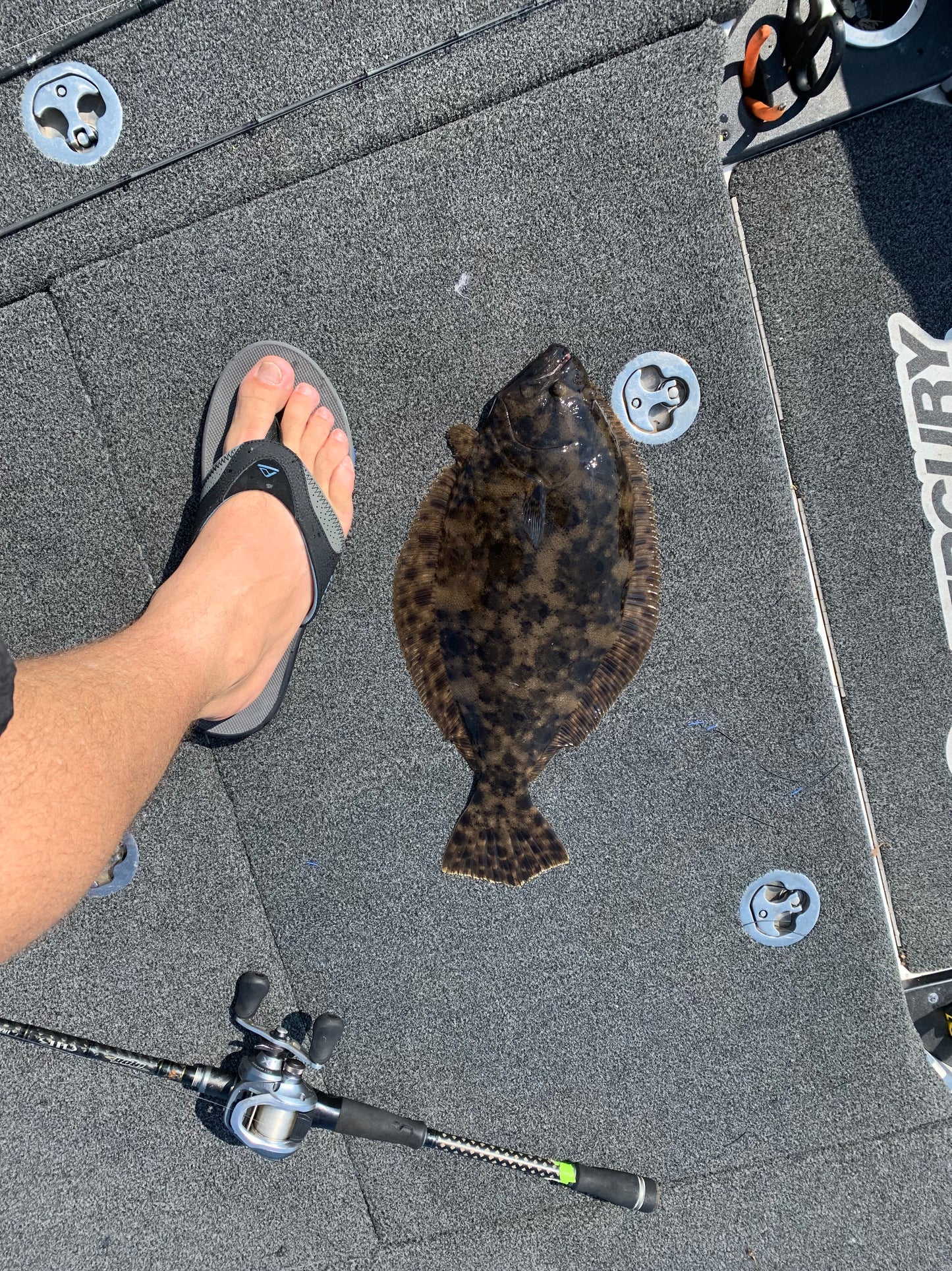 Guided Fishing Trip: Jacksonville Beach