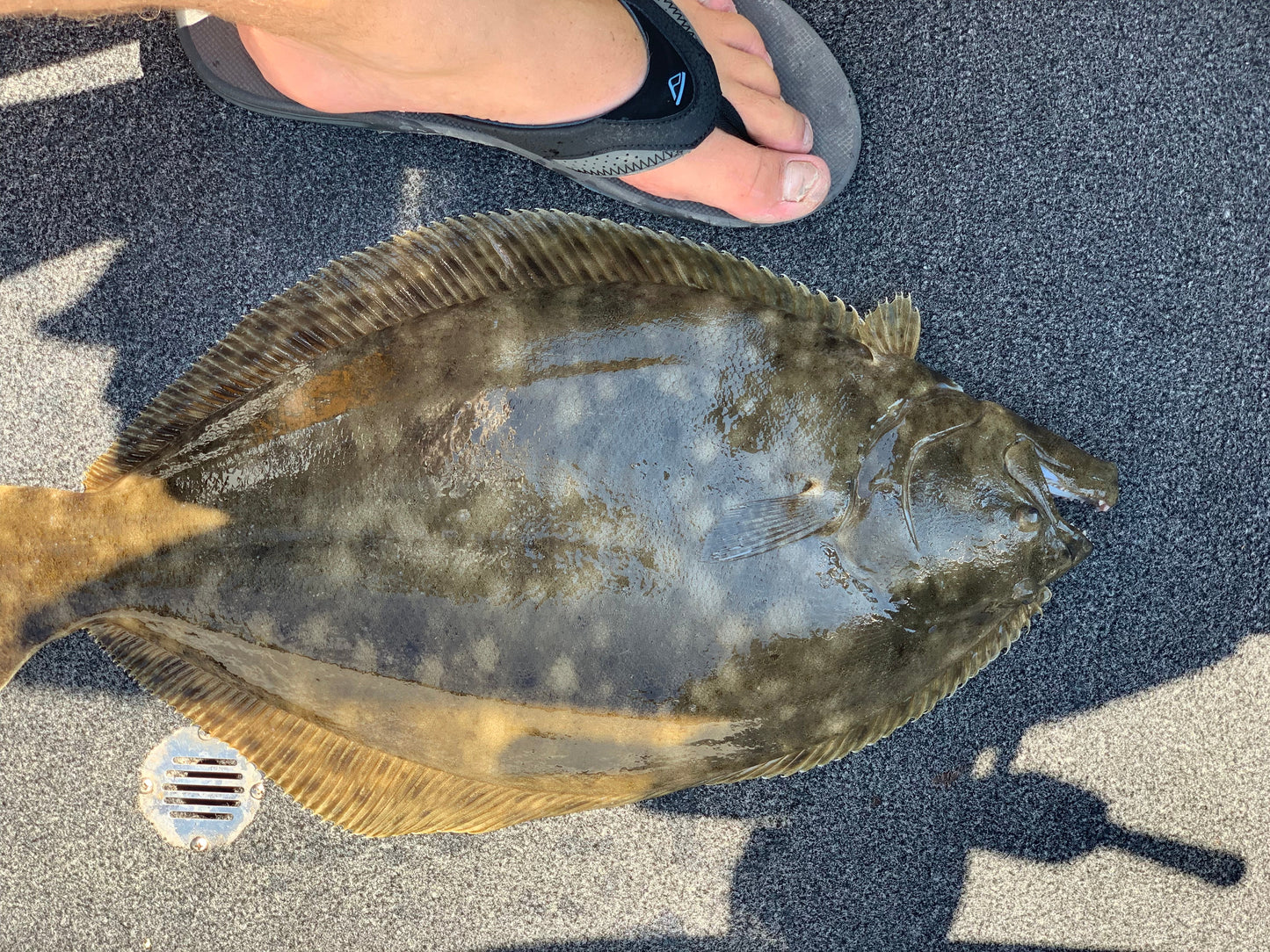 Guided Fishing Trip: Oak Harbor